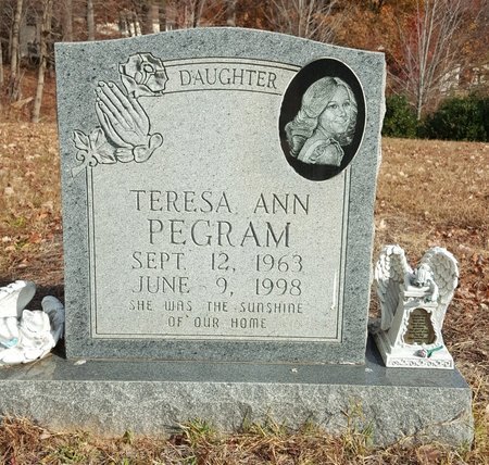 PEGRAM, TERESA ANN - Forsyth County, North Carolina | TERESA ANN PEGRAM - North Carolina Gravestone Photos